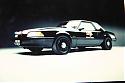 1989 Tx DPS SSP's Avatar